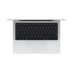 Apple MacBook Pro 14" M4 Max 16c CPU, 40c GPU, 128/4TB, нанотекстурное стекло, серебристый (2024)